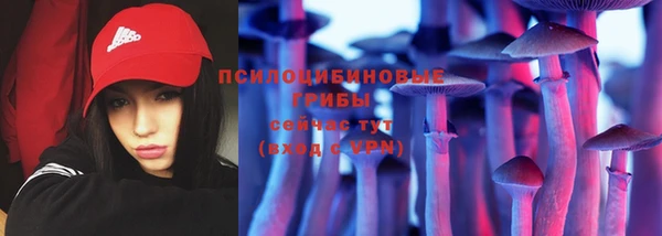 скорость Кукмор