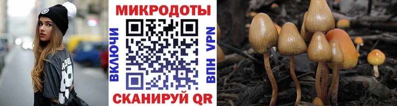 Галлюциногенные грибы ЛСД  Макушино 